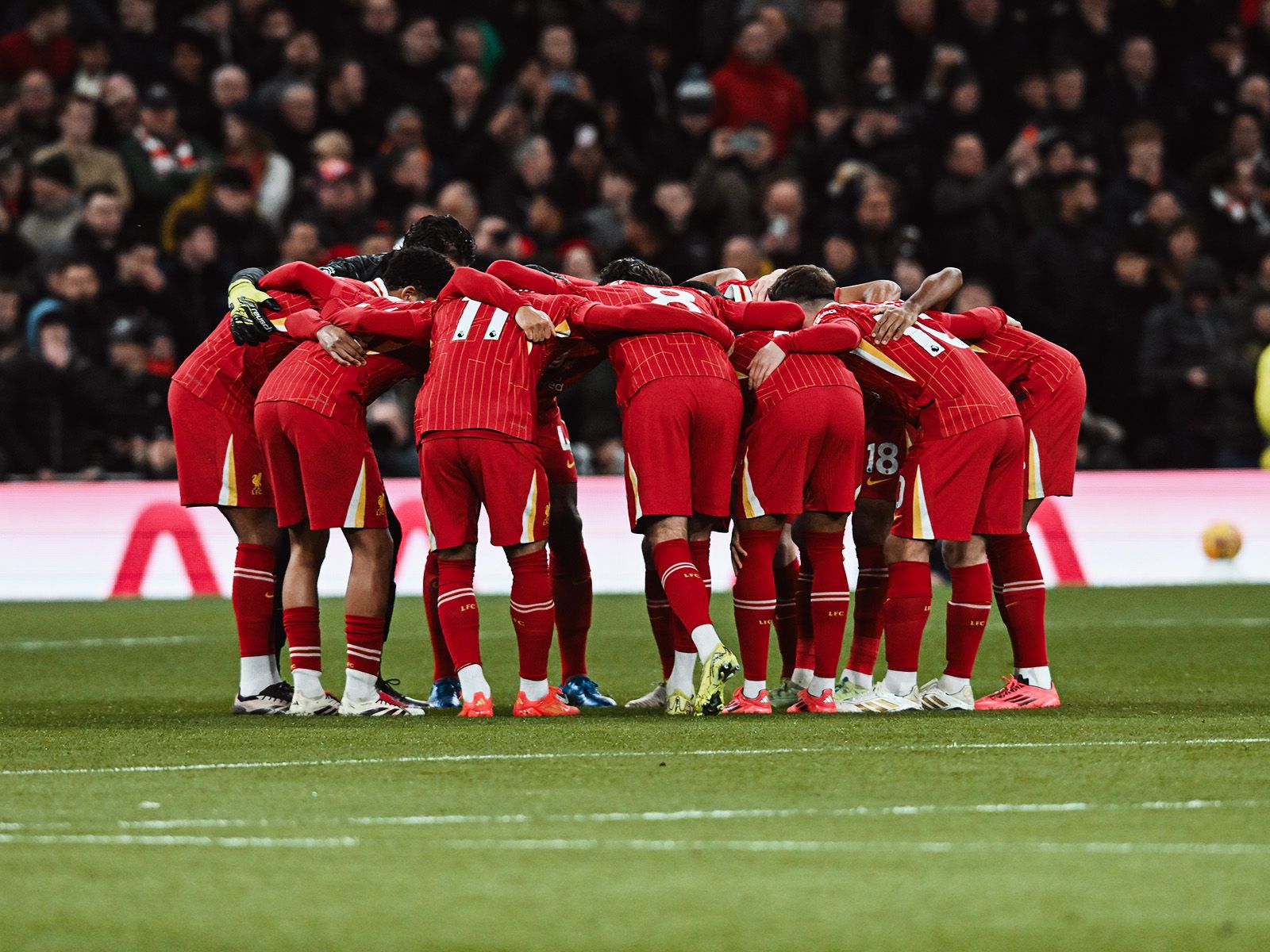 尼克斯主场氛围震撼联盟（尼克斯主场声浪席卷全联盟）